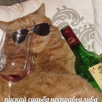 Коля Рождественский