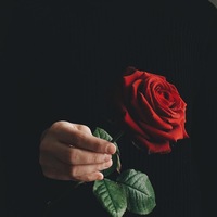 Богдан Каминиченко
