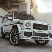 Антон Кузнецов