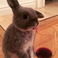 Сергей Курасов