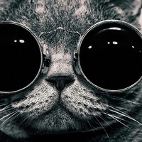 Андрей Князев