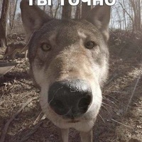 Сулейман Азимов