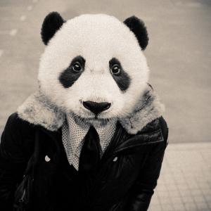 PanDav