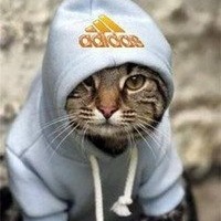 Артем Белый