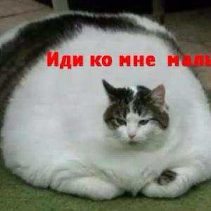 Лох..