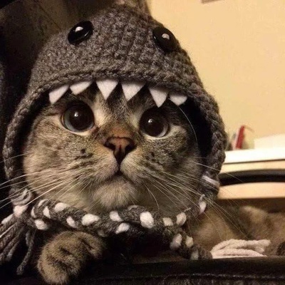 Илья Хачатурян