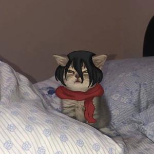 Mikasa_Ackerman