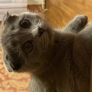 ЛёХа СмОтРяЩиЙ