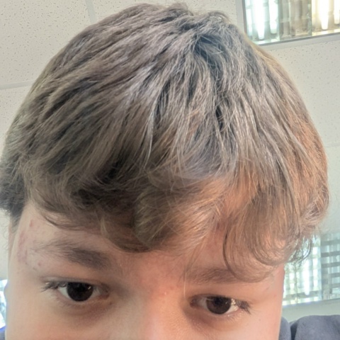 Никита Черданцев