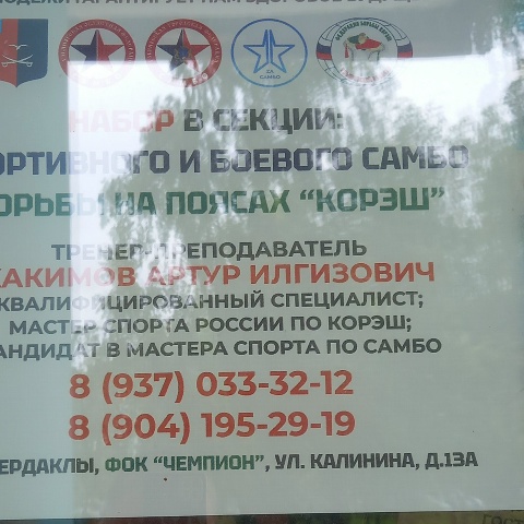 Данил Сегин