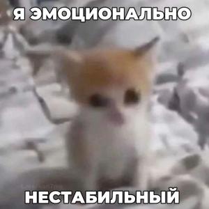 sss.